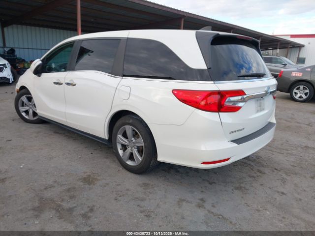 2019 HONDA ODYSSEY 5FNRL6H74KB101579 Photo 2