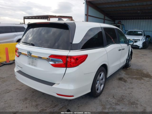 2019 HONDA ODYSSEY 5FNRL6H74KB101579 Photo 3