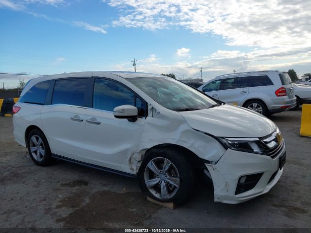 2019 HONDA ODYSSEY 5FNRL6H74KB101579 Photo 5