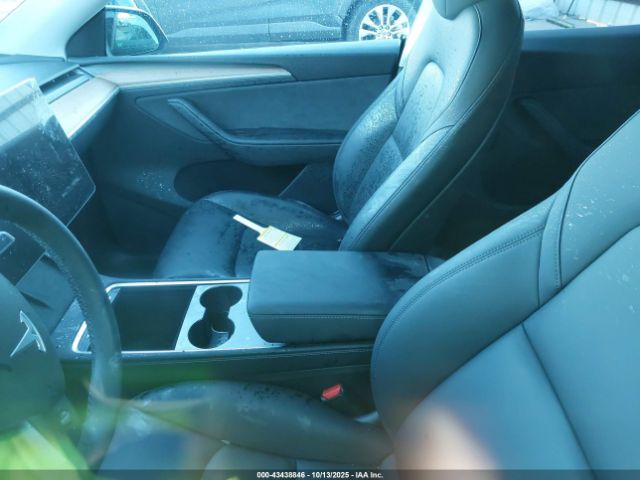 2025 TESLA MODEL Y 7SAYGDED4SA358479 Photo 4