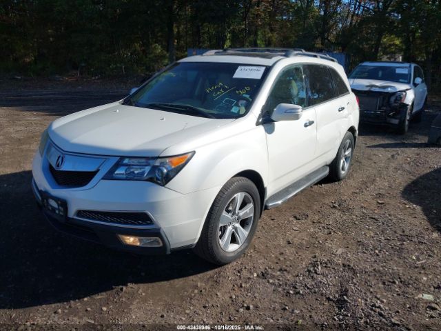 2010 ACURA MDX 2HNYD2H43AH510022 Photo 1