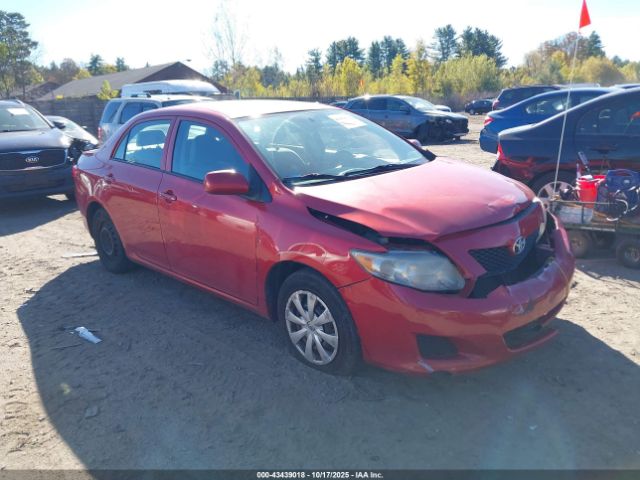 2010 TOYOTA COROLLA 2T1BU4EE0AC284486