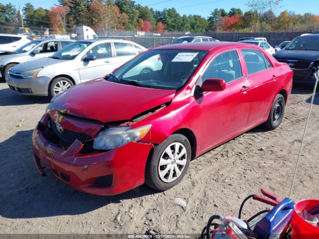 2010 TOYOTA COROLLA 2T1BU4EE0AC284486 Photo 1