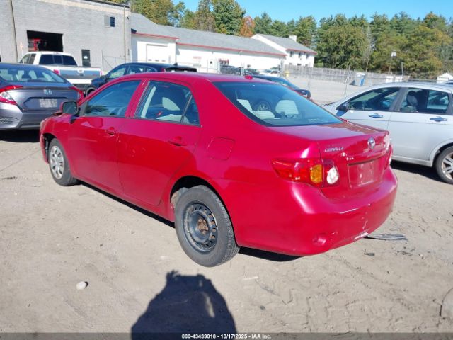 2010 TOYOTA COROLLA 2T1BU4EE0AC284486 Photo 2