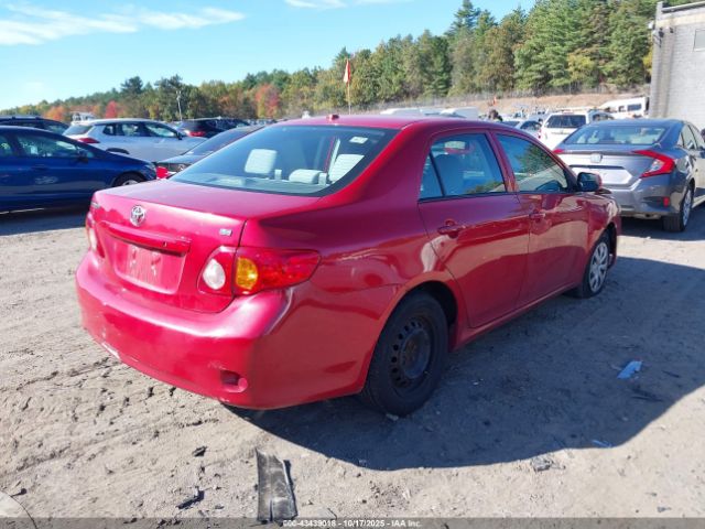 2010 TOYOTA COROLLA 2T1BU4EE0AC284486 Photo 3