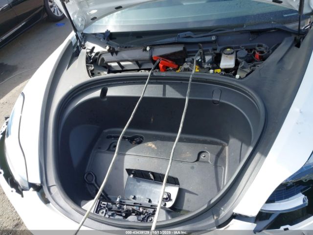 2019 TESLA MODEL 3 5YJ3E1EA2KF484084 Photo 9