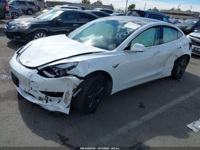 2019 TESLA MODEL 3 5YJ3E1EA2KF484084 Photo 1