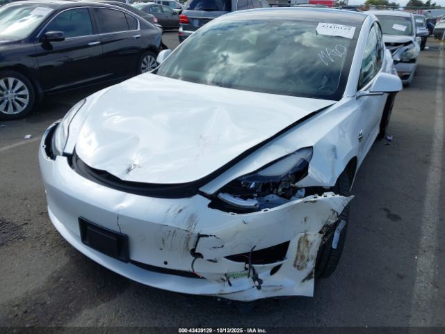 2019 TESLA MODEL 3 5YJ3E1EA2KF484084 Photo 5