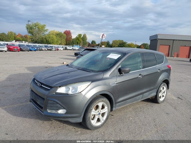 1FMCU9G94FUB50359 Ford Escape