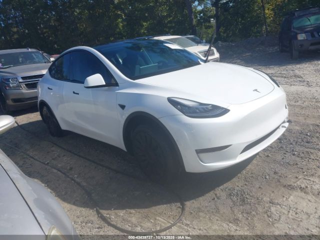 2022 TESLA MODEL Y 7SAYGDEE5NF321358 Photo 0