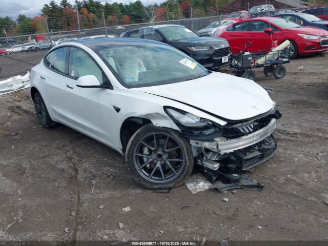 2023 TESLA MODEL 3 5YJ3E1EA8PF477356