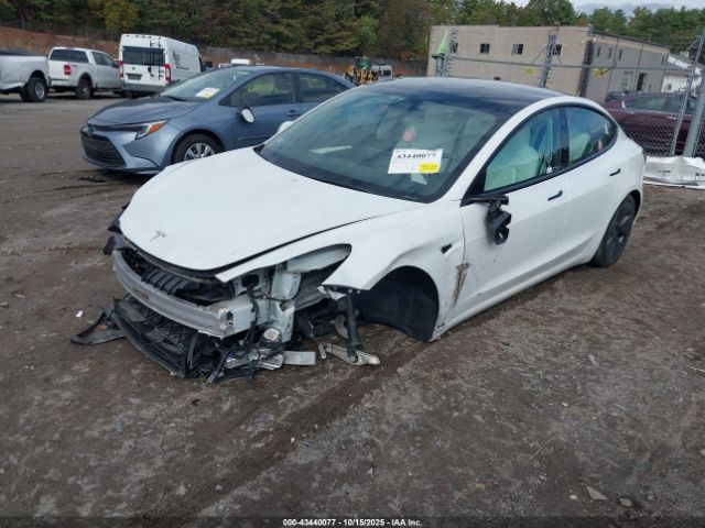 2023 TESLA MODEL 3 5YJ3E1EA8PF477356 Photo 1