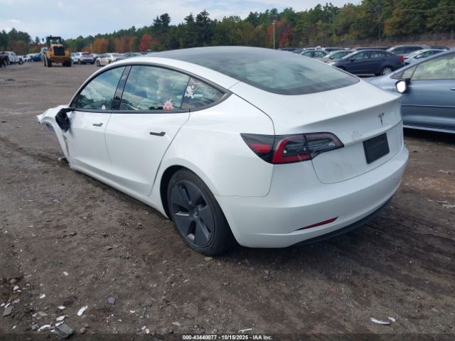 2023 TESLA MODEL 3 5YJ3E1EA8PF477356 Photo 2