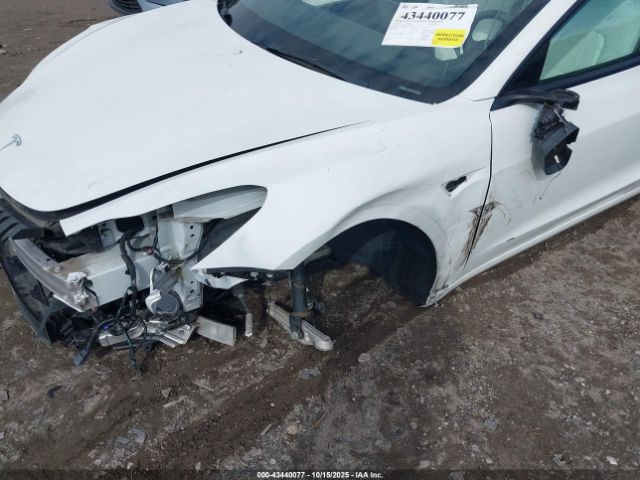 2023 TESLA MODEL 3 5YJ3E1EA8PF477356 Photo 5