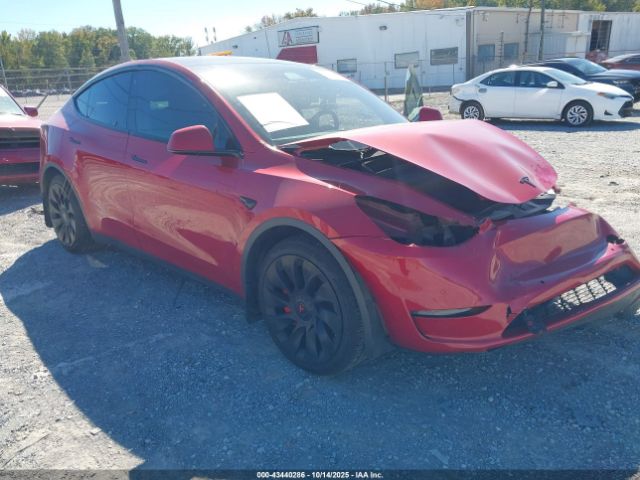 2020 TESLA MODEL Y 5YJYGDEF6LF003719 Photo 0