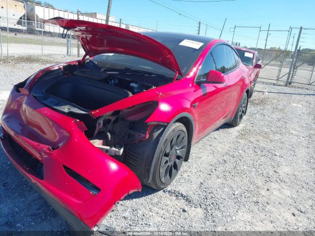 2020 TESLA MODEL Y 5YJYGDEF6LF003719 Photo 1