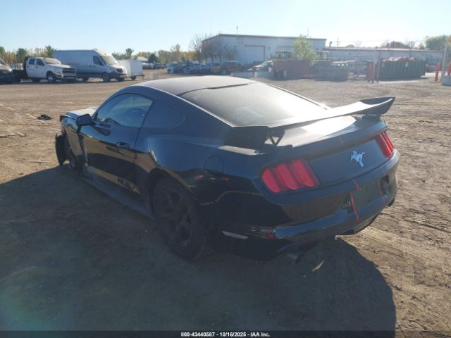 2016 FORD MUSTANG 1FA6P8AM4G5313724 Photo 2