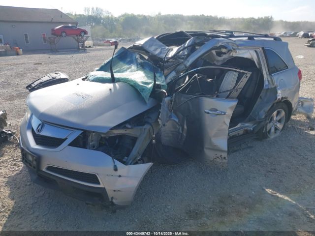 2010 ACURA MDX 2HNYD2H69AH503593 Photo 1