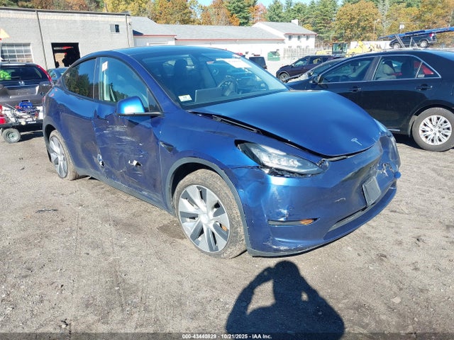 2020 TESLA MODEL Y 5YJYGDEE2LF016684 Photo 0