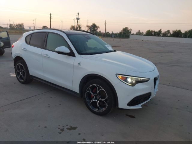 2019 ALFA ROMEO STELVIO ZASPAKBN0K7C42790
