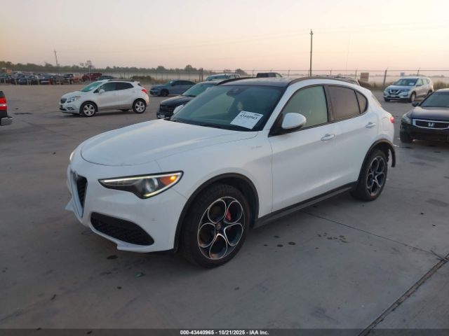 2019 ALFA ROMEO STELVIO ZASPAKBN0K7C42790 Photo 1