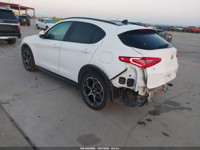 2019 ALFA ROMEO STELVIO ZASPAKBN0K7C42790 Photo 2