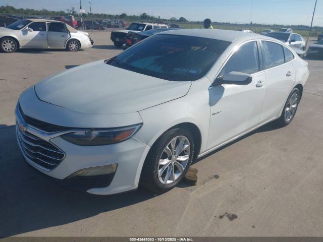2019 CHEVROLET MALIBU 1G1ZD5ST6KF144886 Photo 1