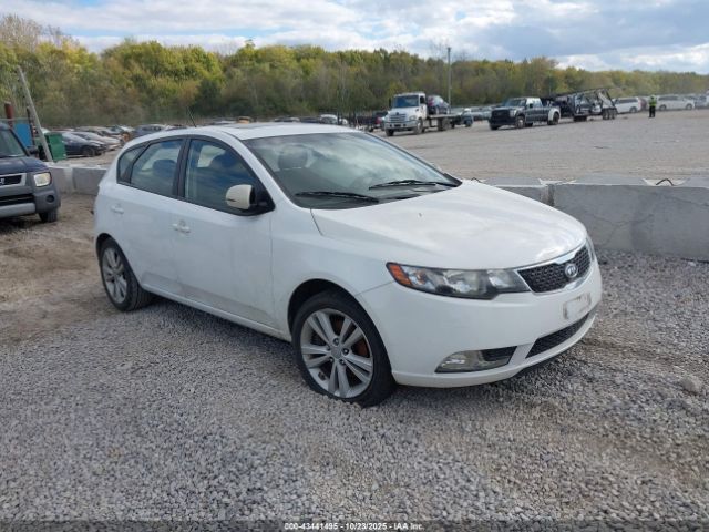 2013 KIA FORTE KNAFW5A30D5668904
