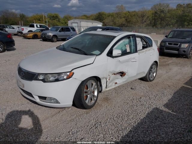 2013 KIA FORTE KNAFW5A30D5668904 Photo 1
