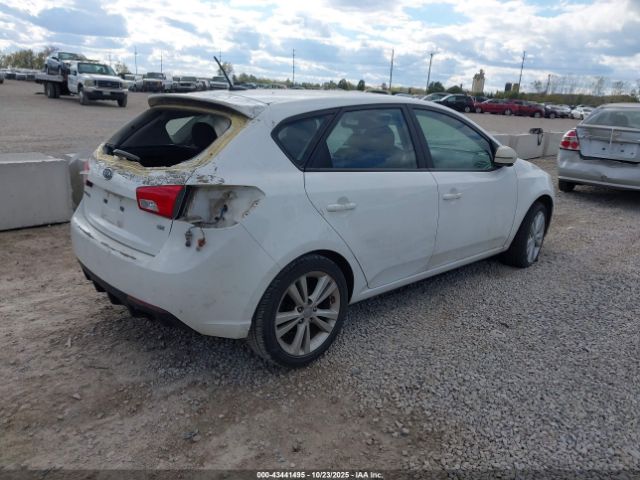 2013 KIA FORTE KNAFW5A30D5668904 Photo 3