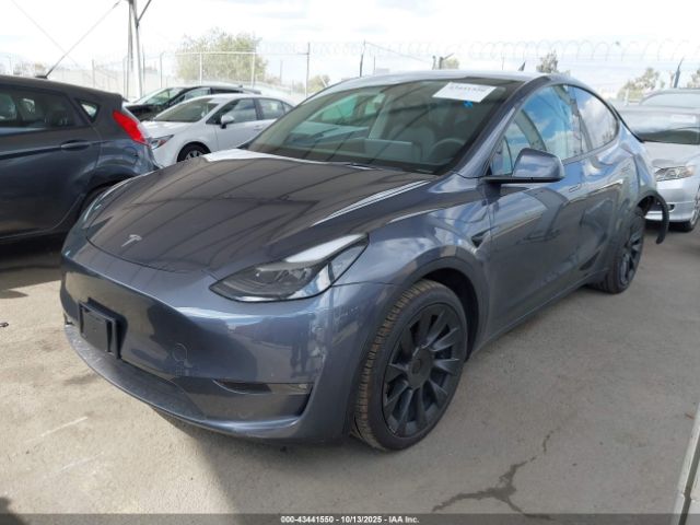 2023 TESLA MODEL Y 7SAYGAEE4PF608188 Photo 1
