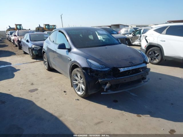 2023 TESLA MODEL Y 7SAYGDEE9PA158925 Photo 0