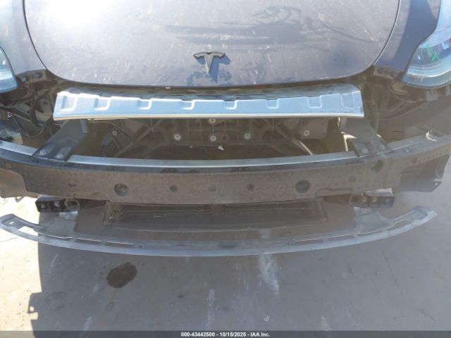 2023 TESLA MODEL Y 7SAYGDEE9PA158925 Photo 9