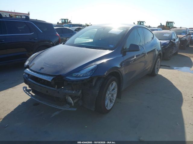 2023 TESLA MODEL Y 7SAYGDEE9PA158925 Photo 1