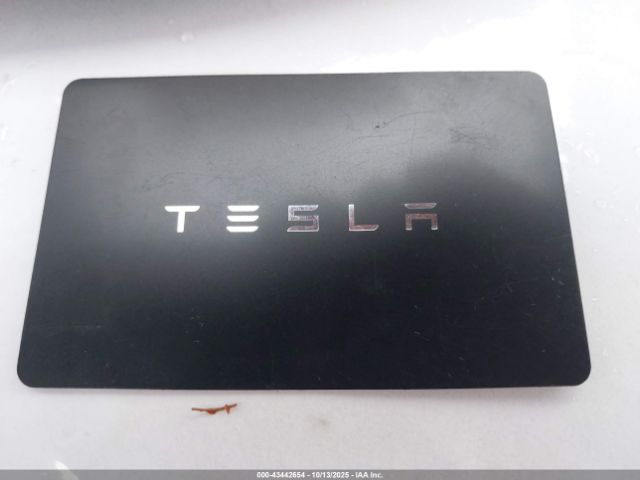 2025 TESLA MODEL 3 5YJ3E1EB0SF923341 Photo 10