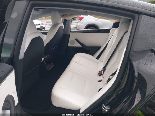 2025 TESLA MODEL 3 5YJ3E1EB0SF923341 Photo 7