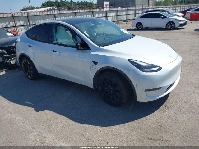 2024 TESLA MODEL Y 7SAYGAEE0RF106796 Photo 0