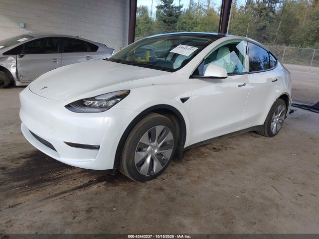 2022 TESLA MODEL Y 7SAYGAEE3NF427483 Photo 1