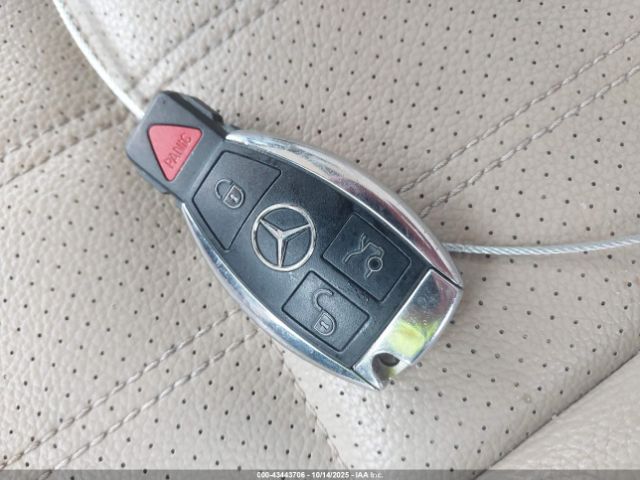 2015 MERCEDES-BENZ GL 450 4JGDF6EE0FA514680 Photo 10