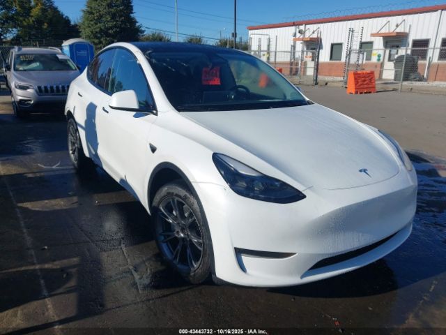 2024 TESLA MODEL Y 7SAYGDEE5RA305213