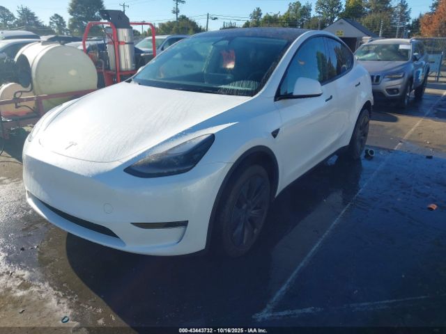 2024 TESLA MODEL Y 7SAYGDEE5RA305213 Photo 1
