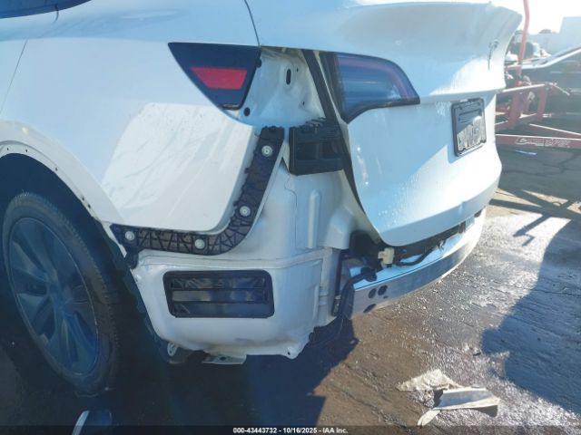 2024 TESLA MODEL Y 7SAYGDEE5RA305213 Photo 5