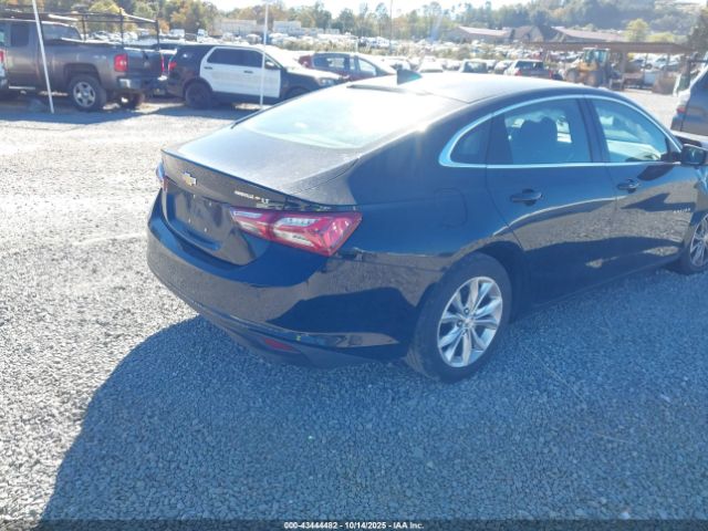2019 CHEVROLET MALIBU 1G1ZD5ST6KF170758 Photo 3