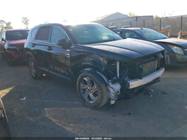 2023 HYUNDAI SANTA FE 5NMS1DAJ8PH569371