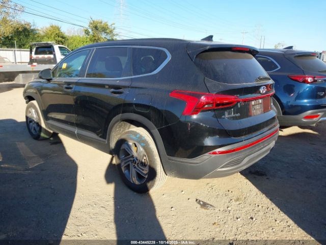 2023 HYUNDAI SANTA FE 5NMS1DAJ8PH569371 Photo 2