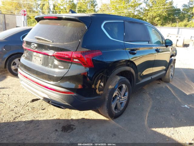 2023 HYUNDAI SANTA FE 5NMS1DAJ8PH569371 Photo 3