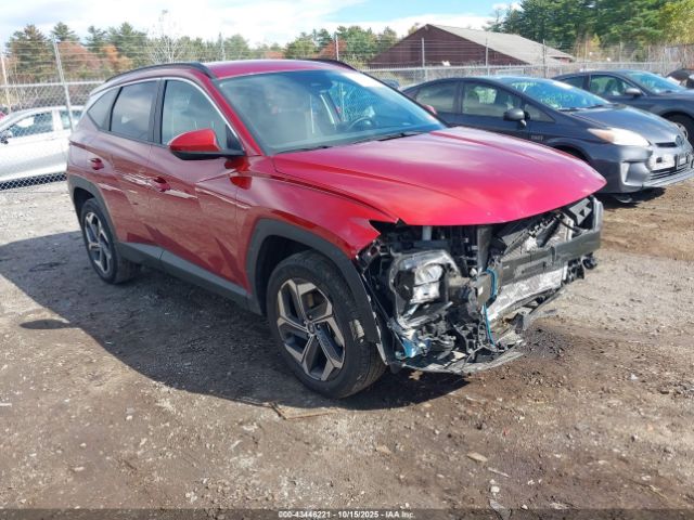 2024 HYUNDAI TUCSON 5NMJBCDEXRH428774