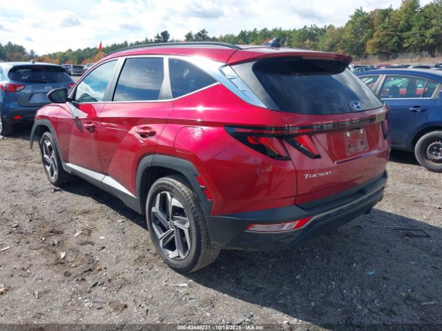 2024 HYUNDAI TUCSON 5NMJBCDEXRH428774 Photo 2