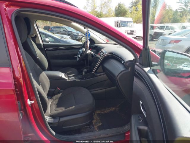 2024 HYUNDAI TUCSON 5NMJBCDEXRH428774 Photo 4