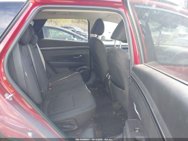 2024 HYUNDAI TUCSON 5NMJBCDEXRH428774 Photo 7